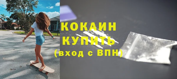 индика Балахна