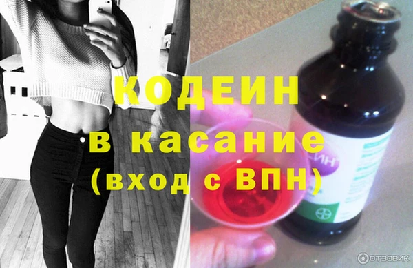 индика Балахна