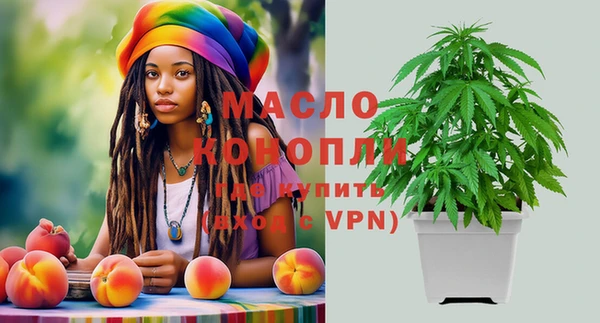 индика Балахна