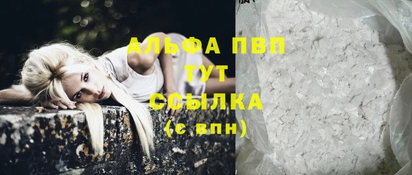 индика Балахна